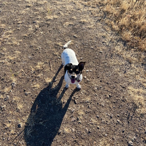 Meet your Posher, Jessica - Picture 2 of 3